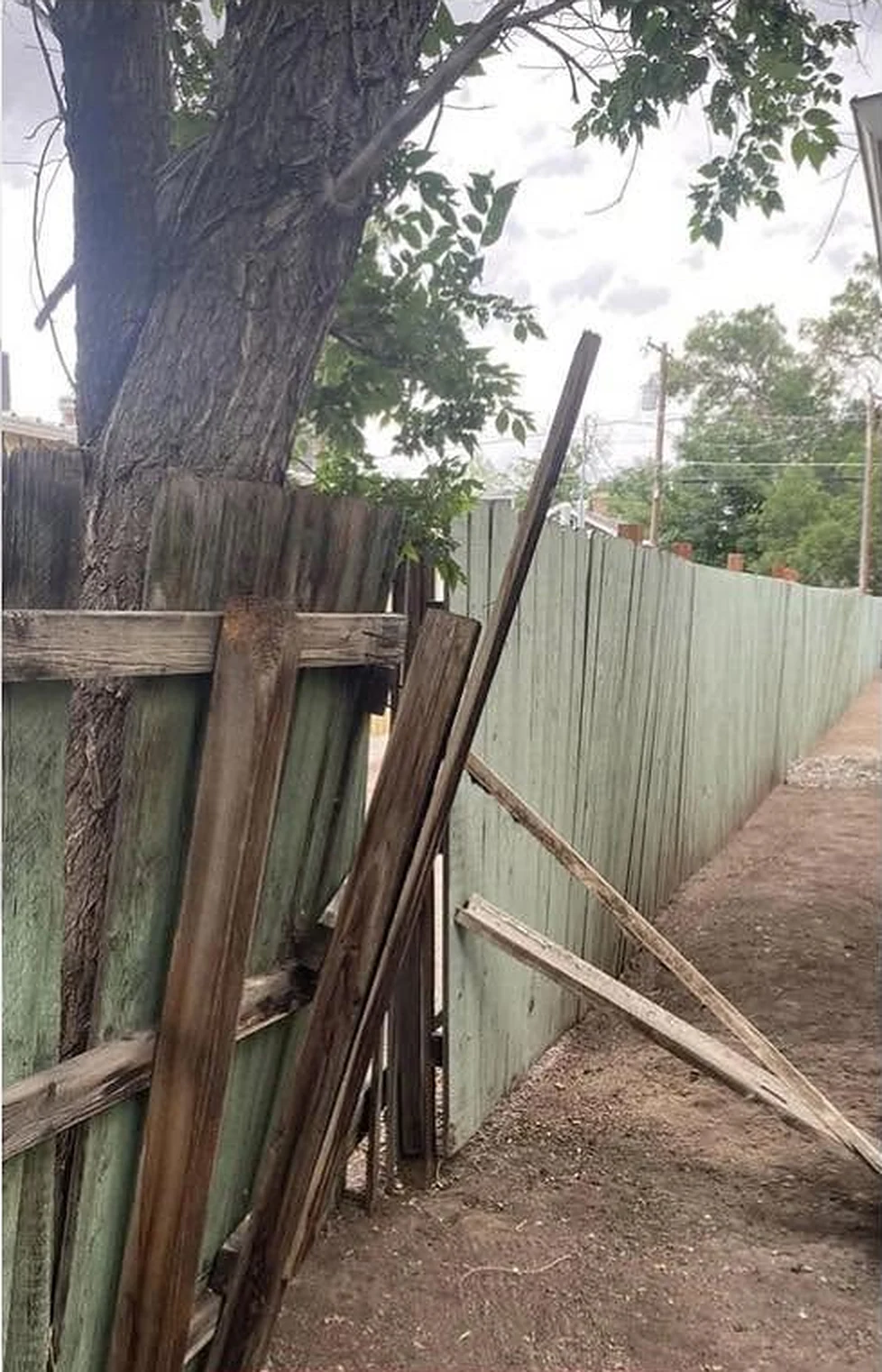 Old worn fence before replacement